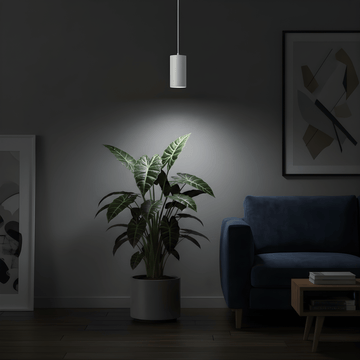 Dark living room with a plant grow light, blue sofa, and framed art on a dark wall.