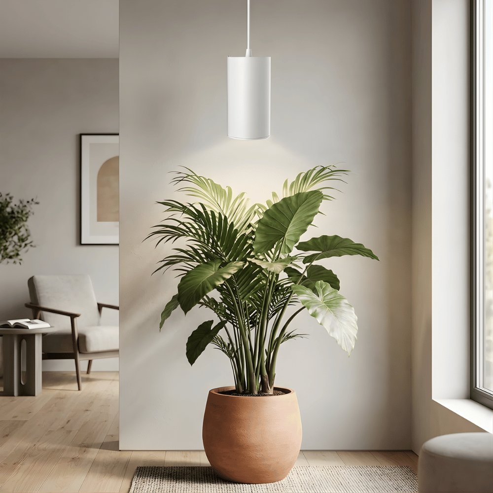 Potted plant under a modern pendant grow light in a room with neutral decor.
