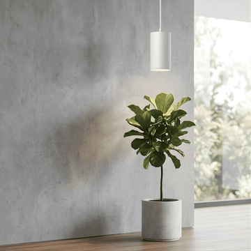 Potted plant and white pendant grow light on a wooden floor against a gray wall with a window in the background