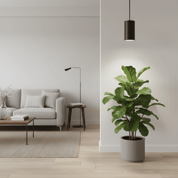 Modern living room with a gray sofa, wooden coffee table, a potted plant and black pendant grow light.