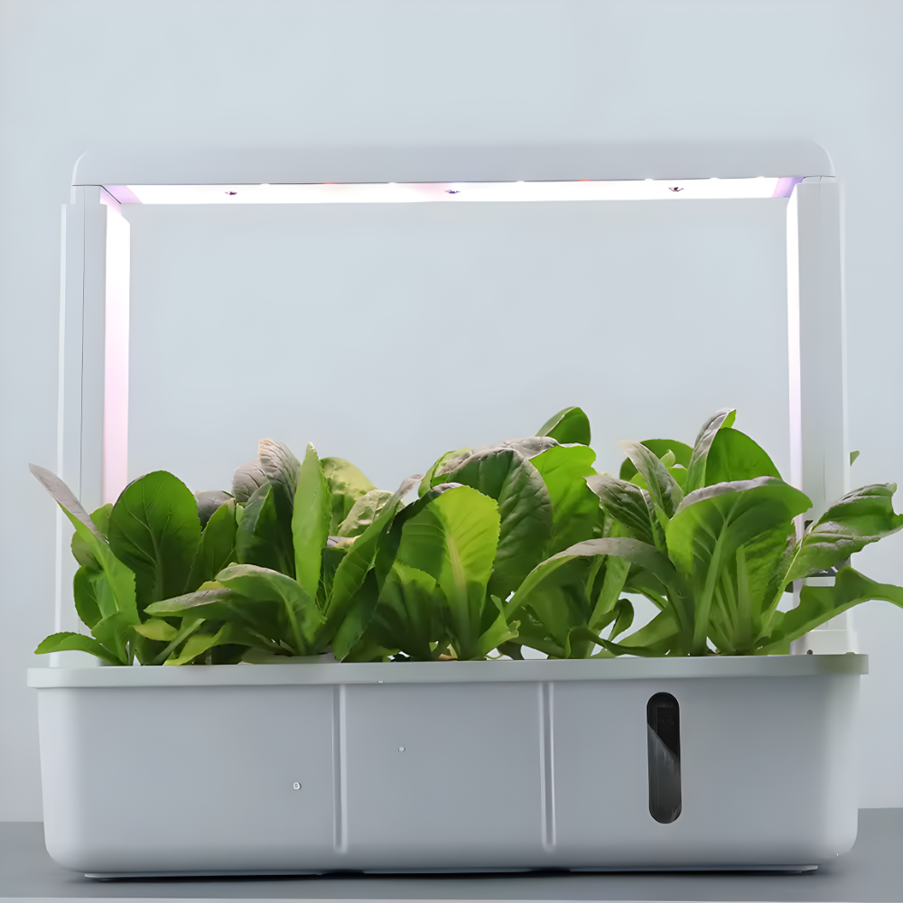 AuraGrove 15-Pod Smart Garden