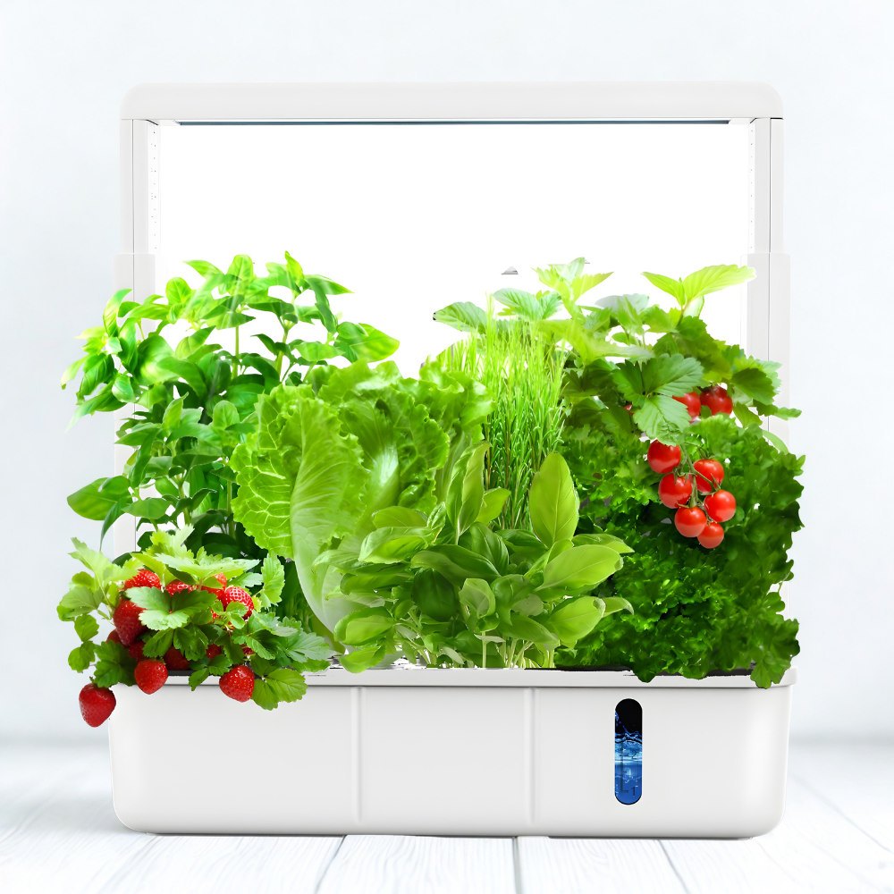 AuraGrove 15-Pod Smart Garden