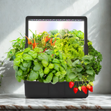 15-Pod Smart Gardens