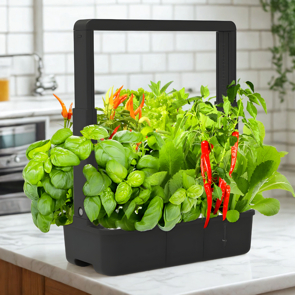 AuraGrove 15-Pod Smart Garden