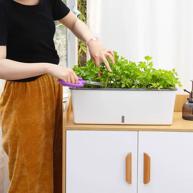self-watering planter box HydroLevel Self-Watering Planter Box