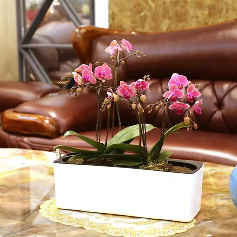 AquaTerra Self-Watering Planter