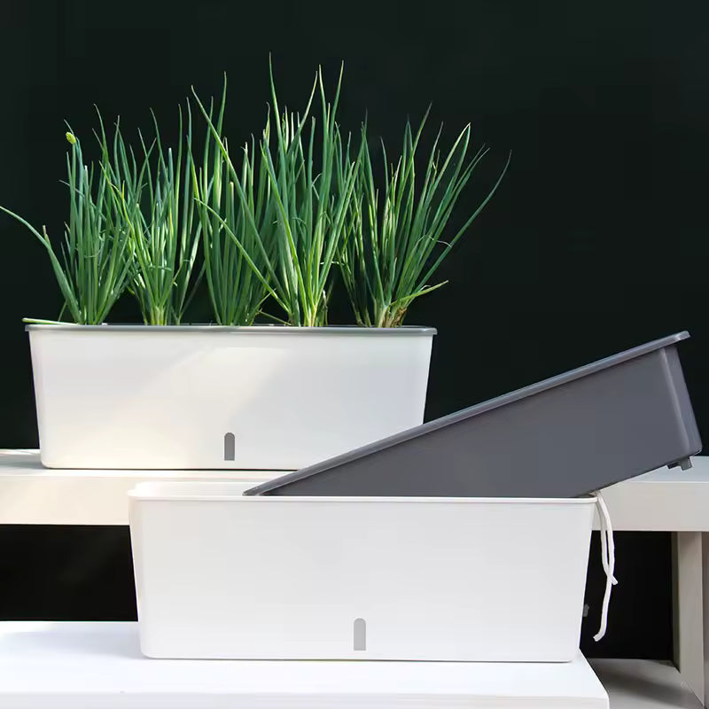 HydroLevel Self-Watering Planter Box