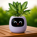 Smart Pet Planters