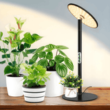 Desk Grow Lights