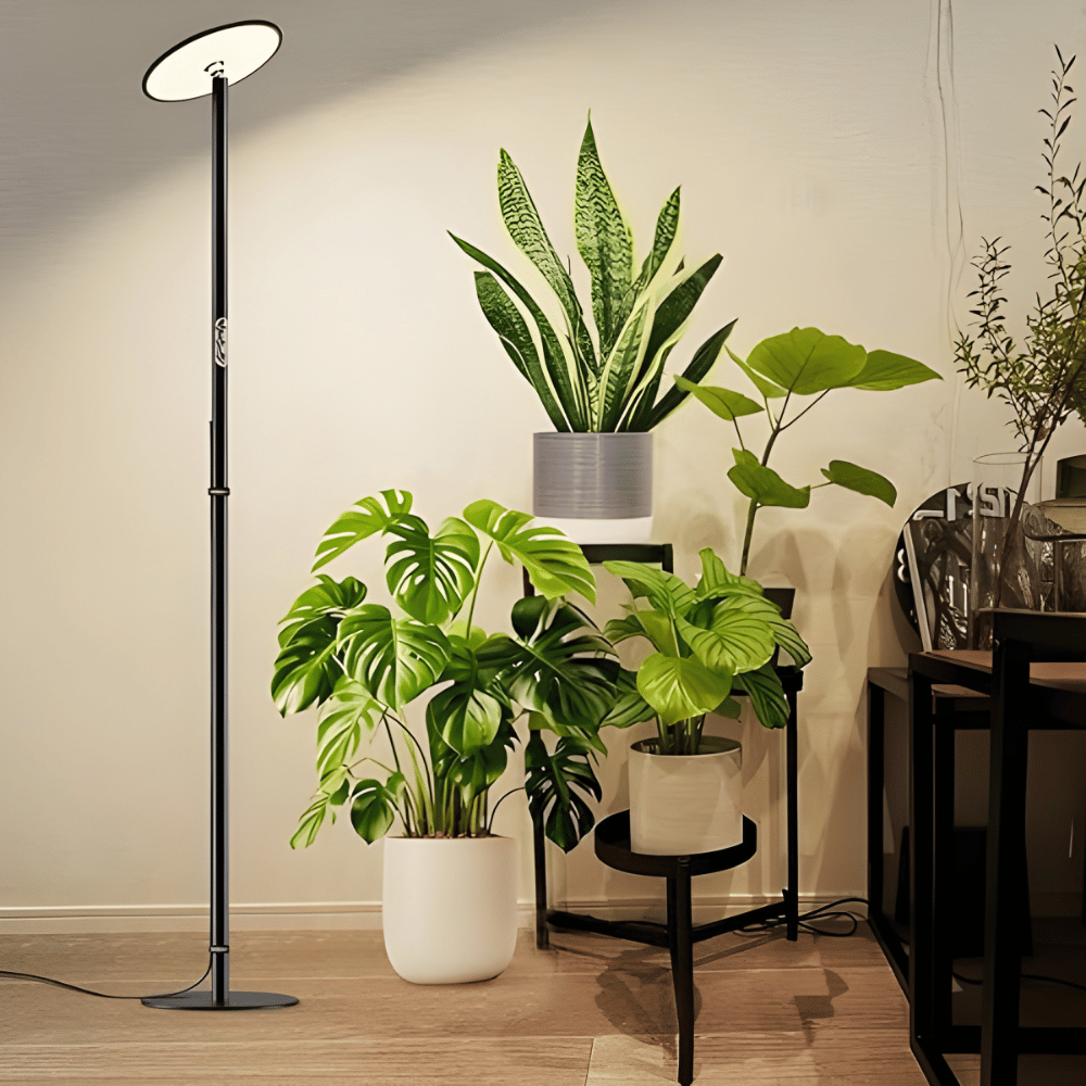 Sleek, Architectural Silhouette