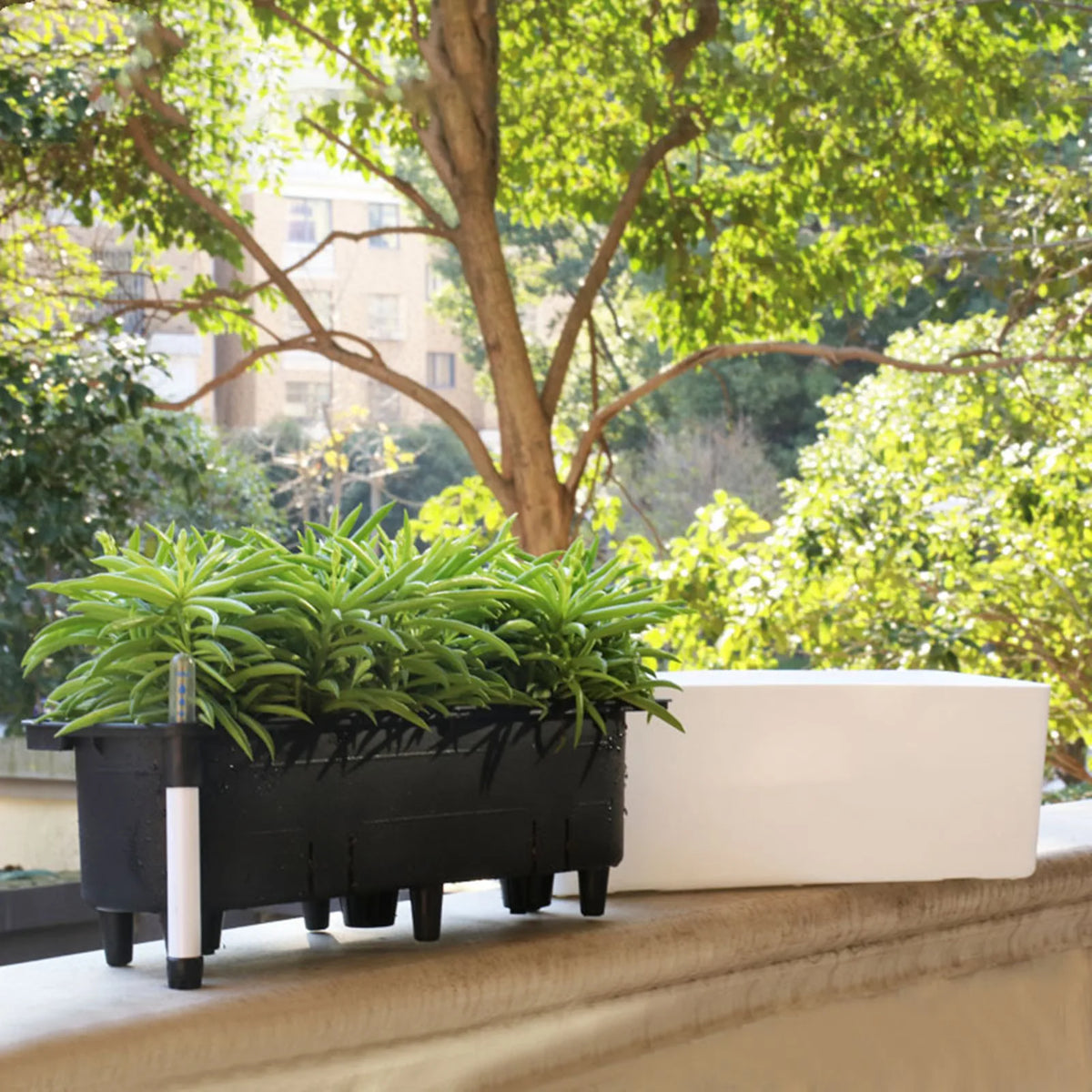 Amberol AquaTerra Self-Watering Planter | Water Level Indicator & Modern Design ...