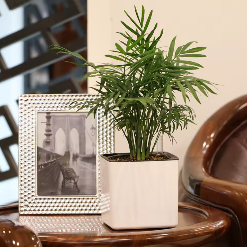 AquaTerra Self-Watering Planter