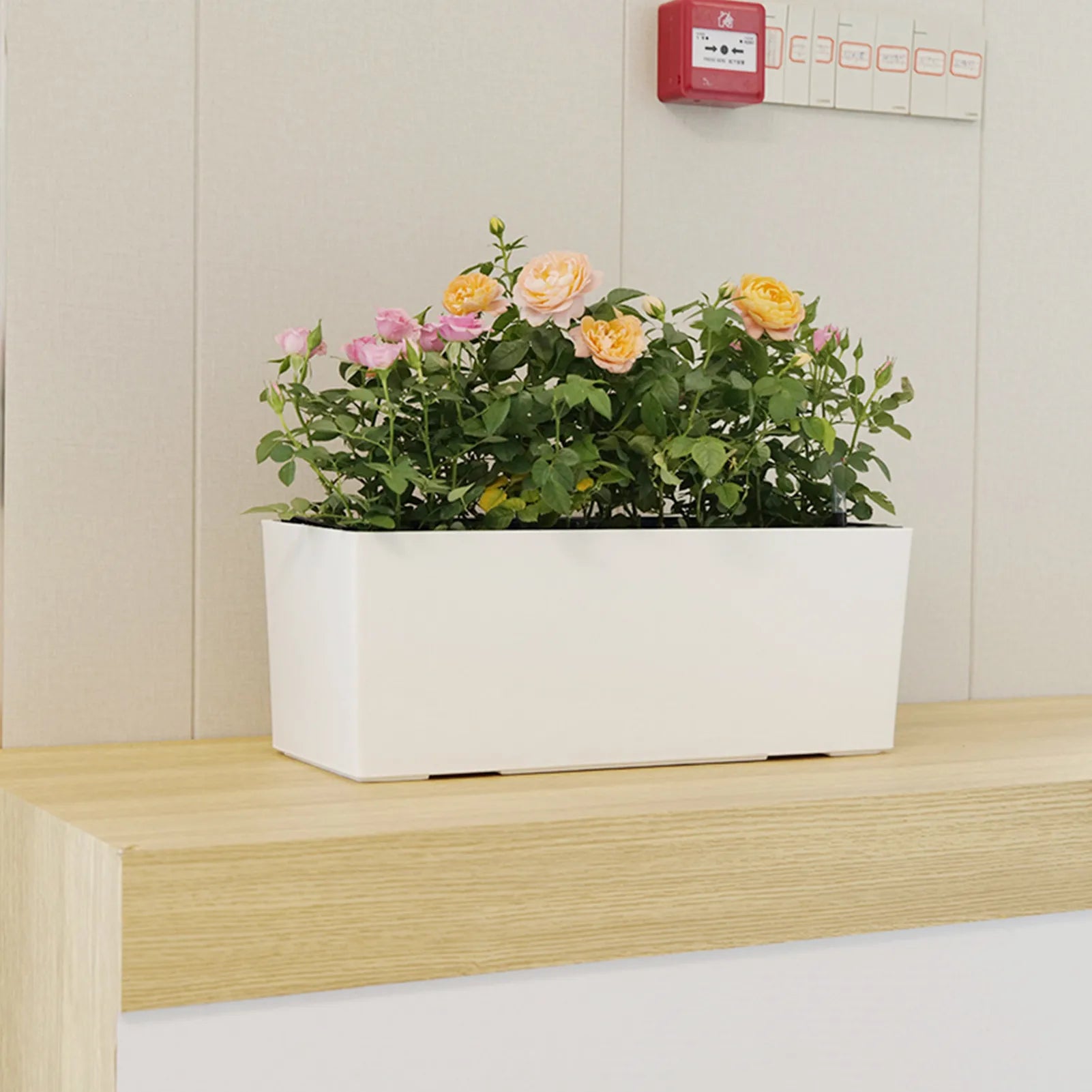 water planters for indoor plants AquaTerra Self-Watering Planter