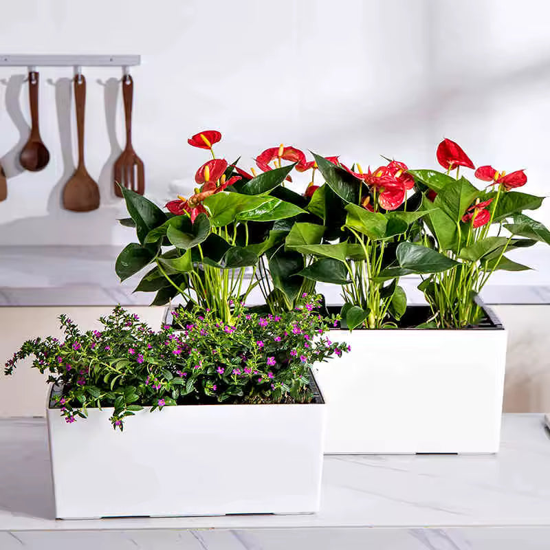 AquaTerra Self-Watering Planter