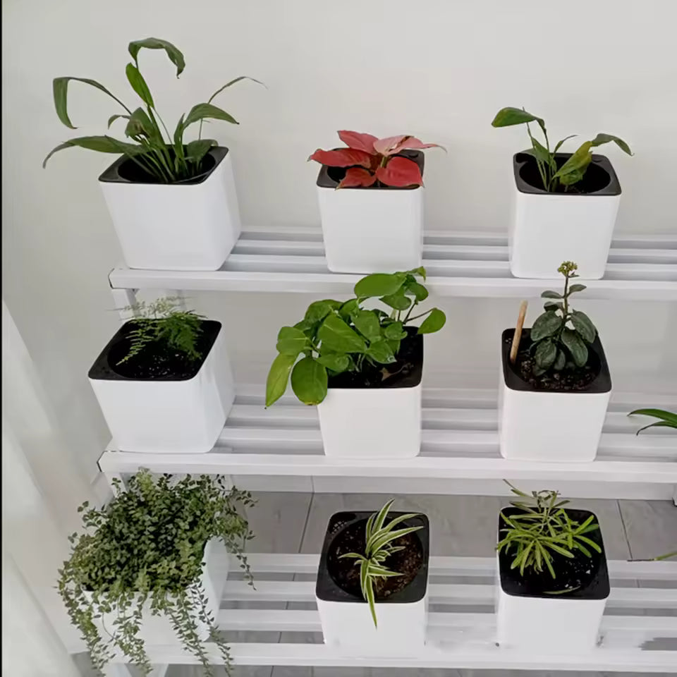 AquaTerra Self-Watering Planter