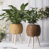 Plant Stands