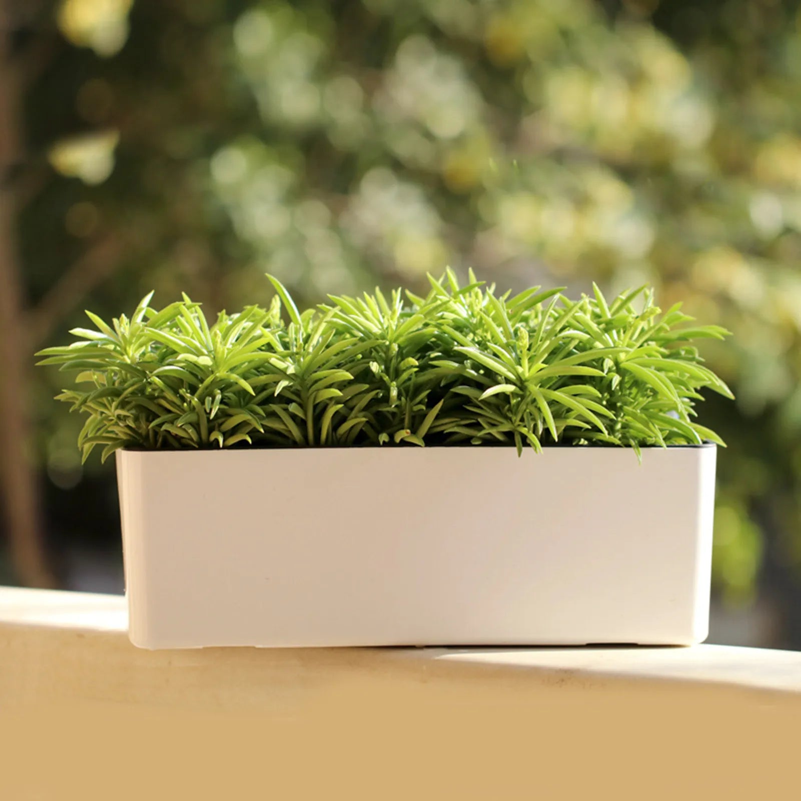 AquaTerra Self-Watering Planter