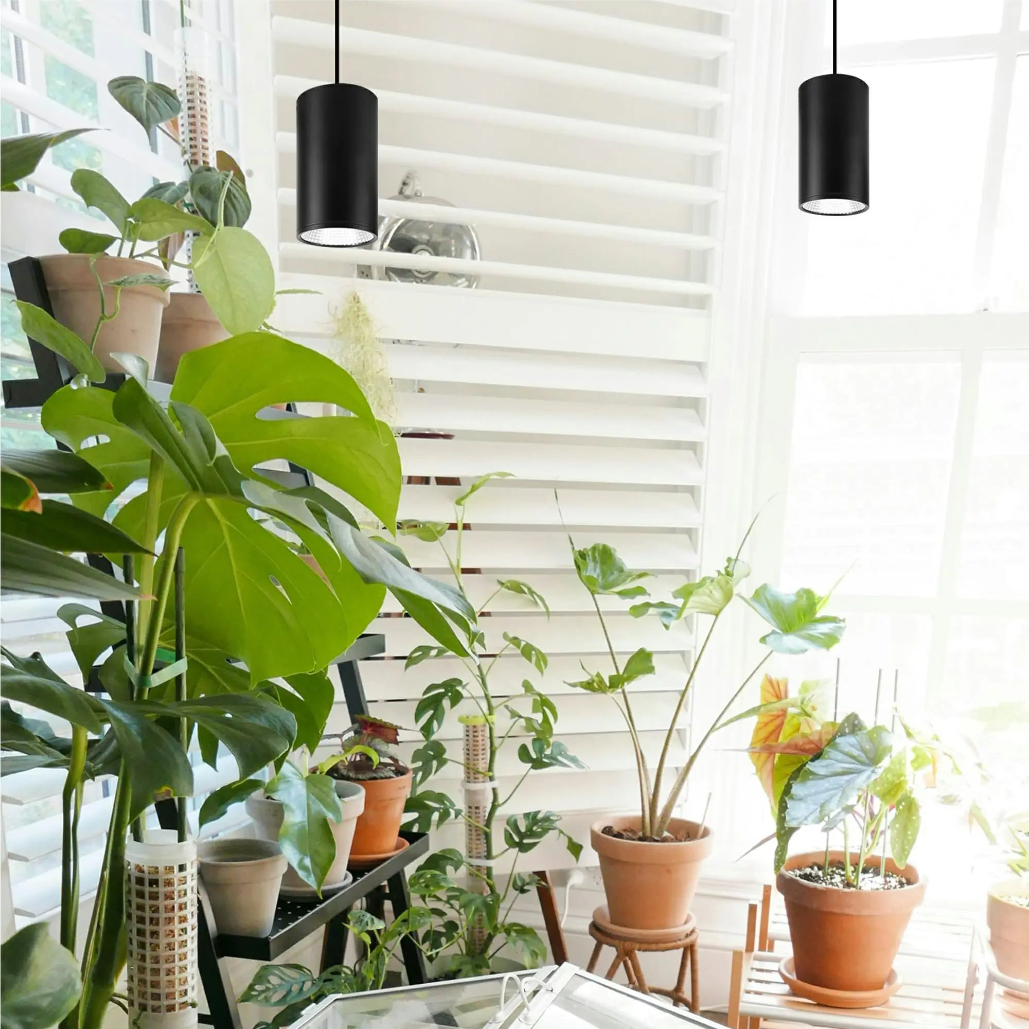 AuraGlow Pendant Grow Light