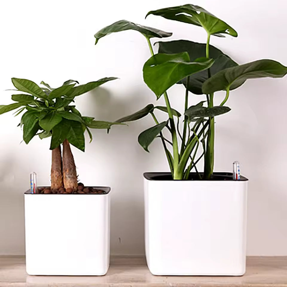 Amberol AquaTerra Self-Watering Planter | Water Level Indicator & Modern Design ...