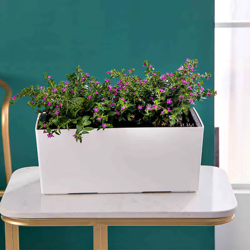 AquaTerra Self-Watering Planter