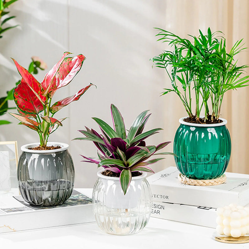 PumpkinSprout Self Watering Planter