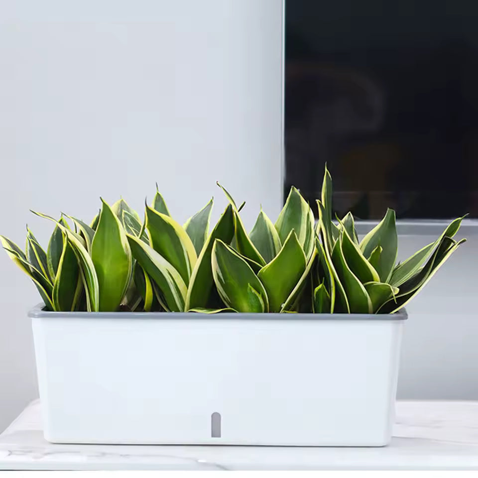 HydroLevel Self-Watering Planter Box
