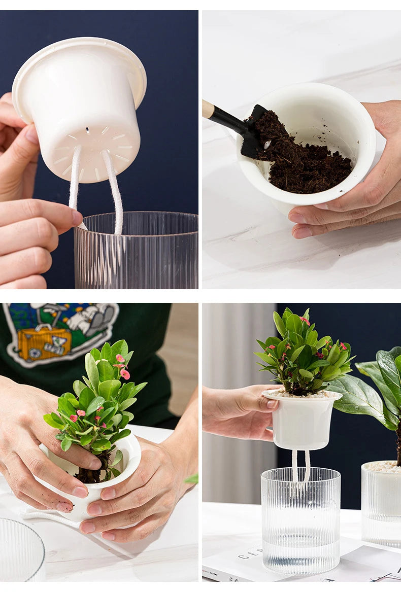 Terracotta Europa Planter