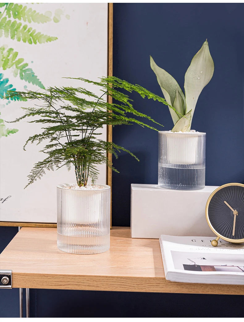 Terracotta Europa Planter