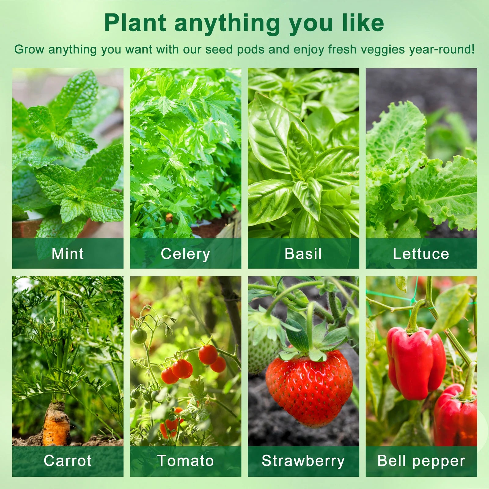 Seed Pod Kit for Hydroponic Systems