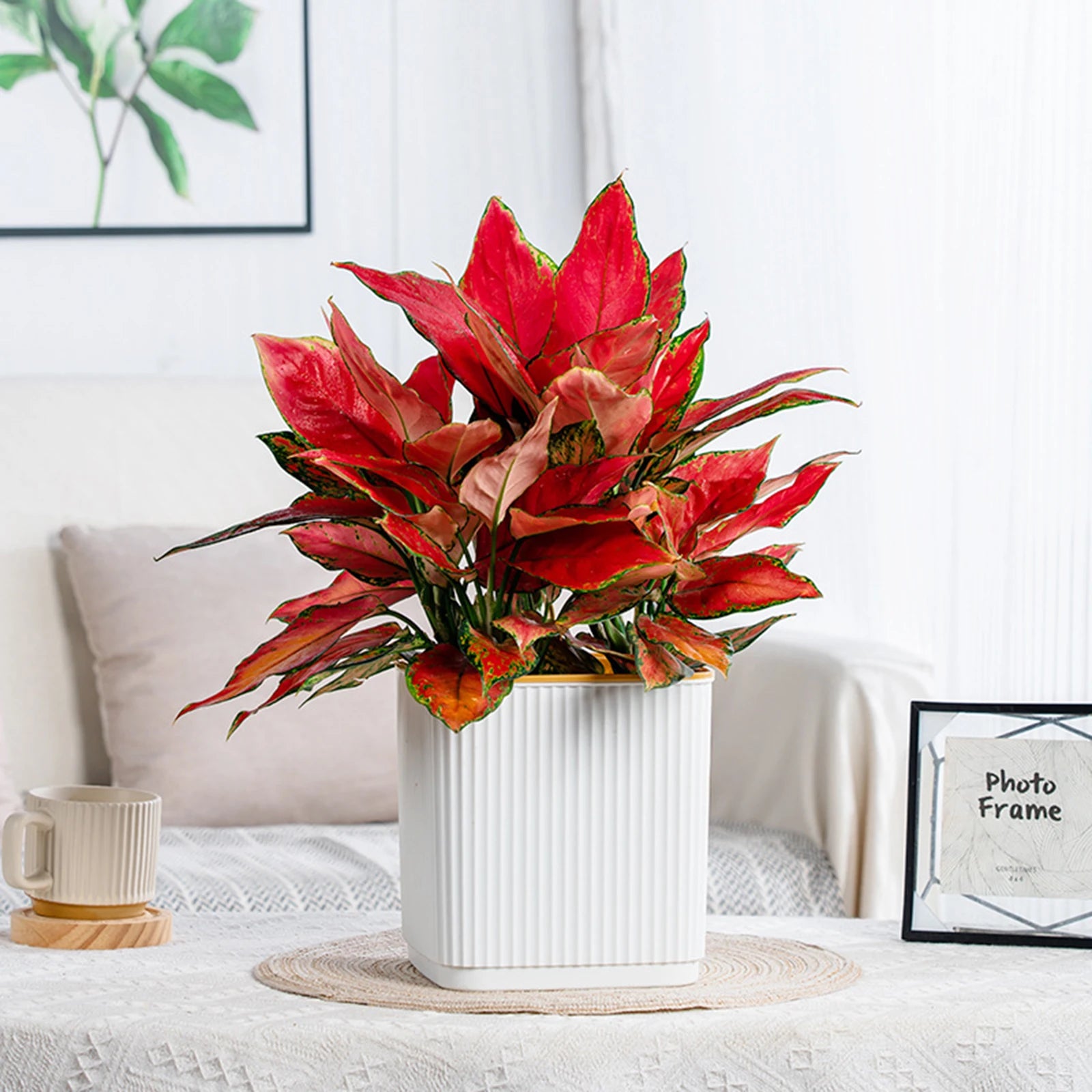 AquaBloom Self-Watering Planter