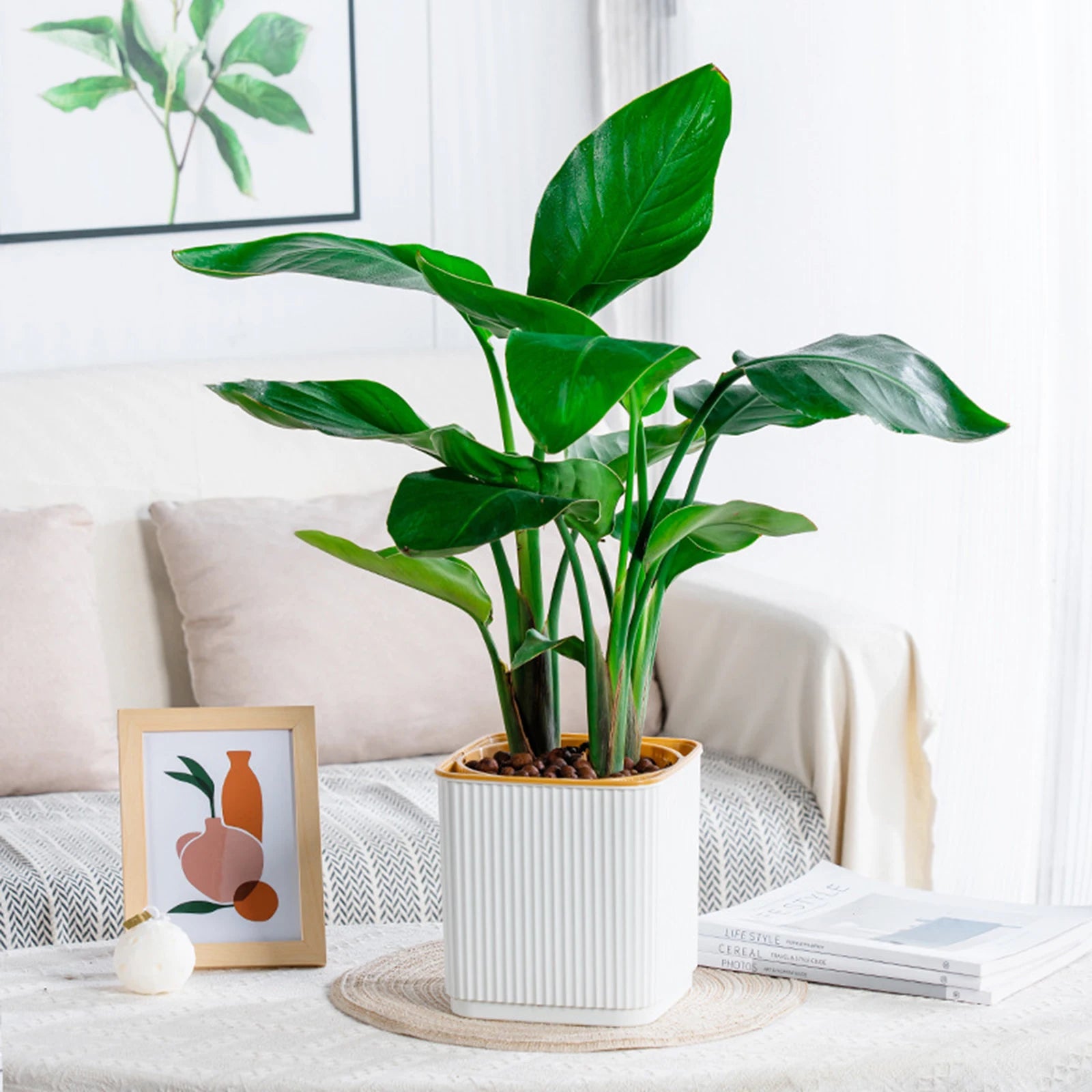 AquaBloom Self-Watering Planter