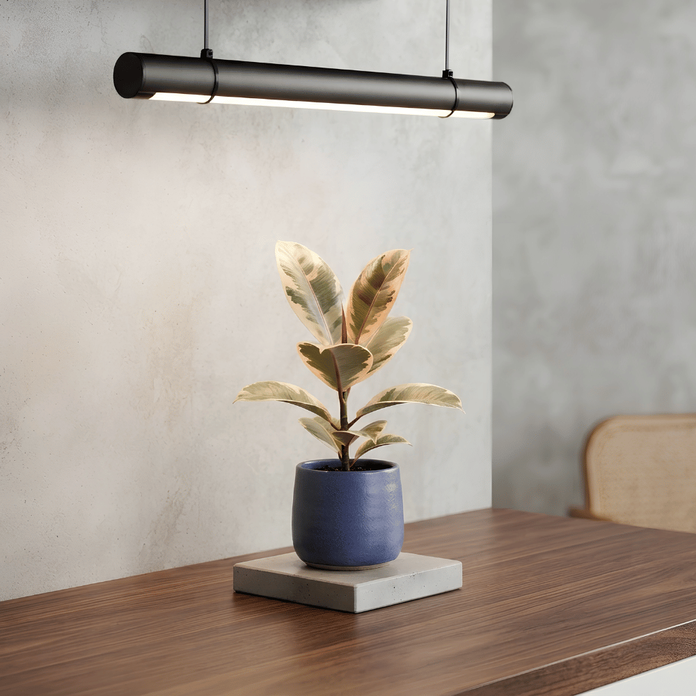 Stellor Full Spectrum LED Grow Light