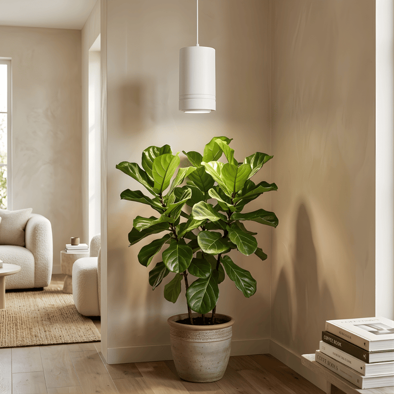 SOLVIND Pendant Grow Light