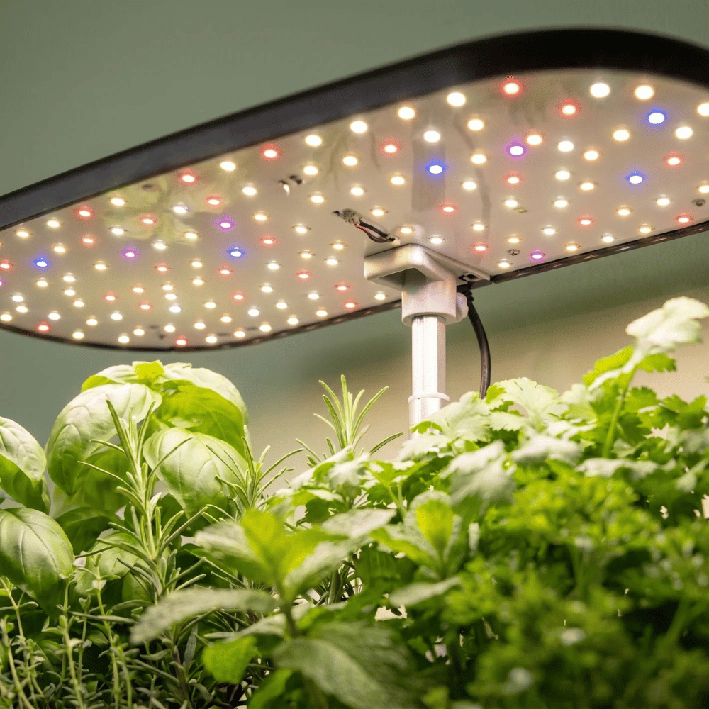 20W Full-Spectrum LED Light.