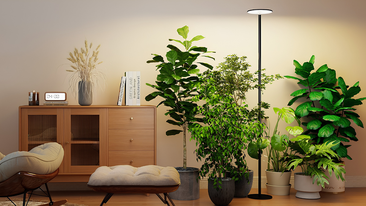 Sleek, Architectural Silhouette