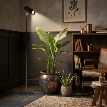 Living room with a potted plant, books, and a floor grow light.