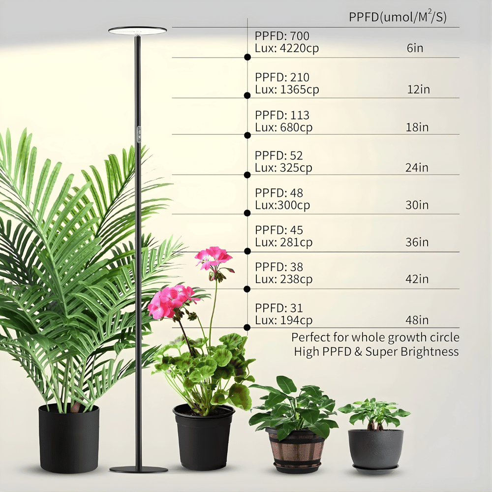 Plant growth light with labeled plant heights and PPF values on a white background