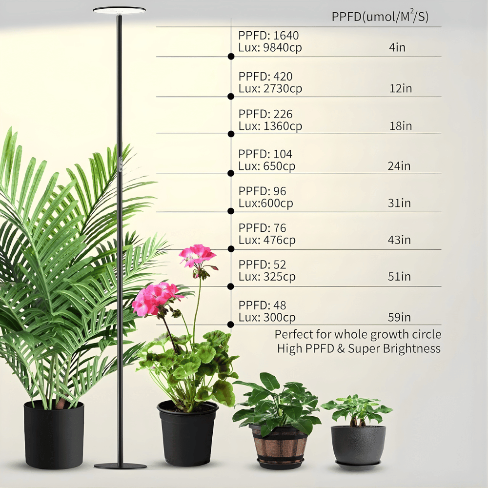 Potted plants under a grow light with measurement chart on a white background