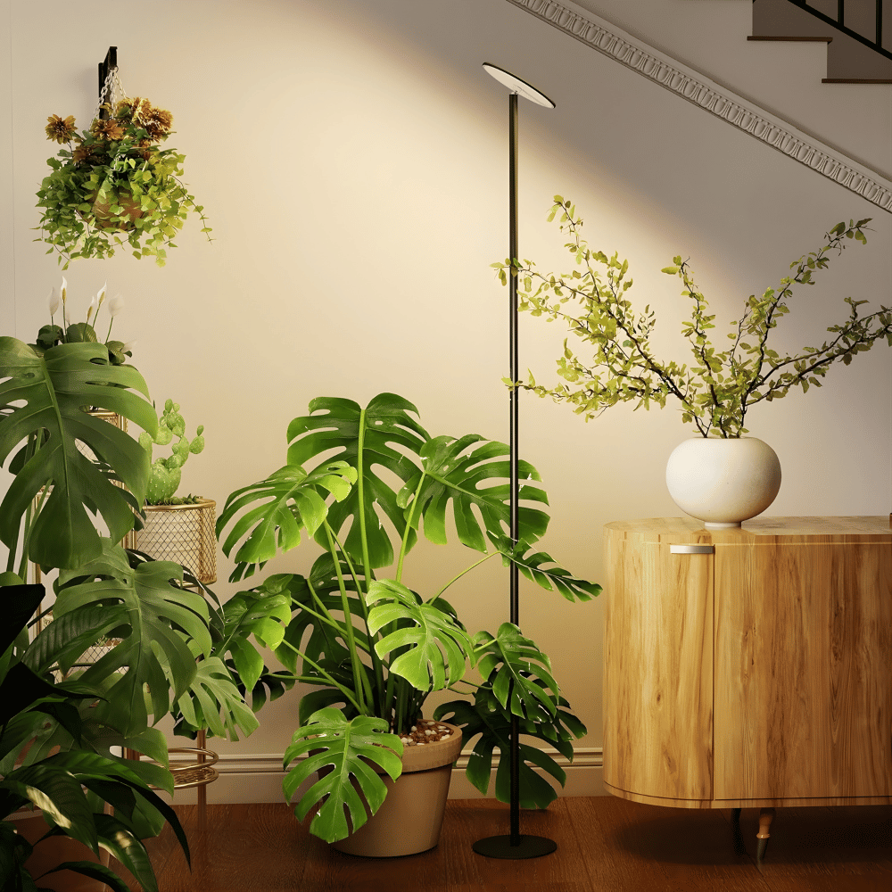 Modern interior with potted plants and a floor grow light.