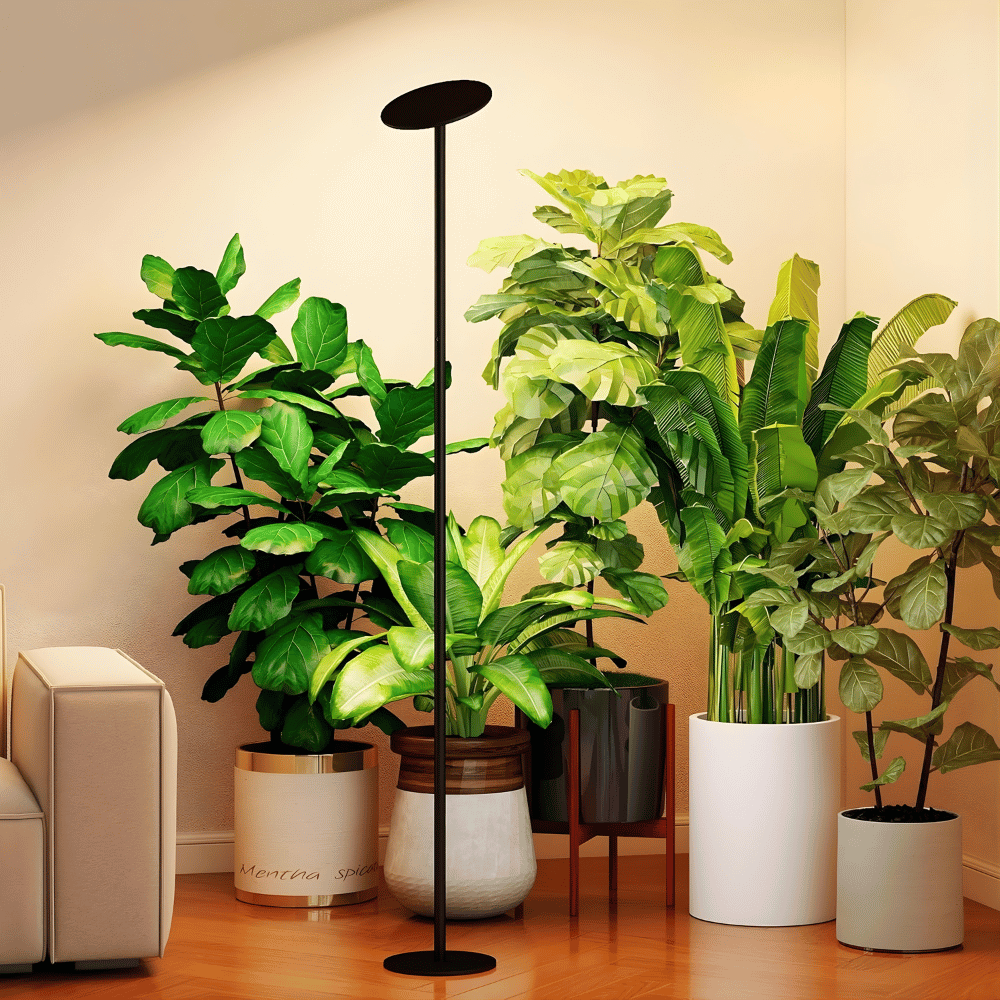 Three potted plants in a room with a grow light and framed picture on the wall.