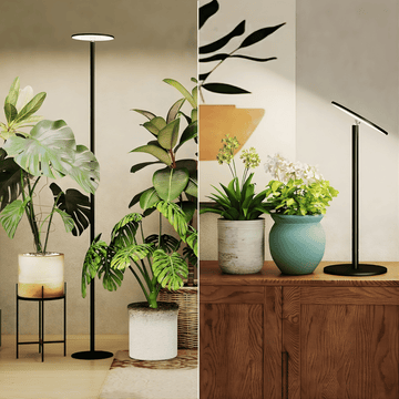 Two scenes of indoor plants with grow lights and a wooden cabinet.