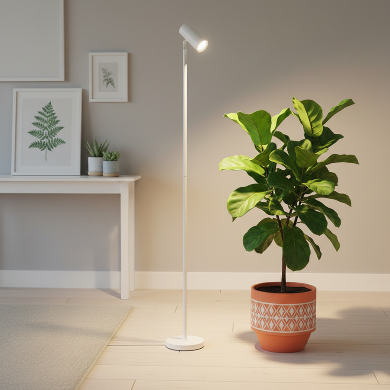 Potted plant with a standing grow light in a room setting