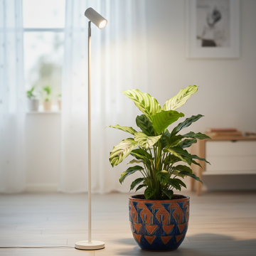 Potted plant with decorative pot on a wooden floor next to a standing grow light.