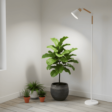 Potted plant with a standing grow light in a room with light-colored walls and wooden floor.