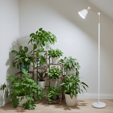 Indoor plants on a wooden shelf with a standing plant grow light in a room.