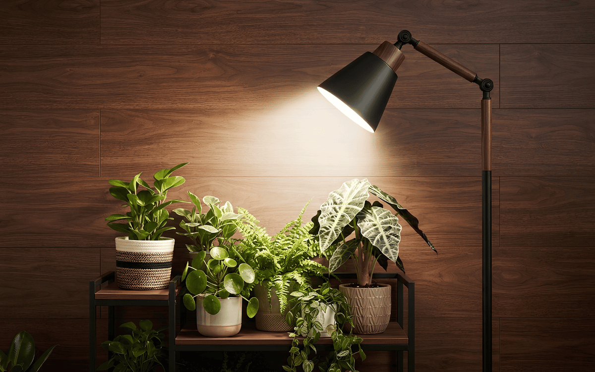 Sunlight, Perfected Indoors
