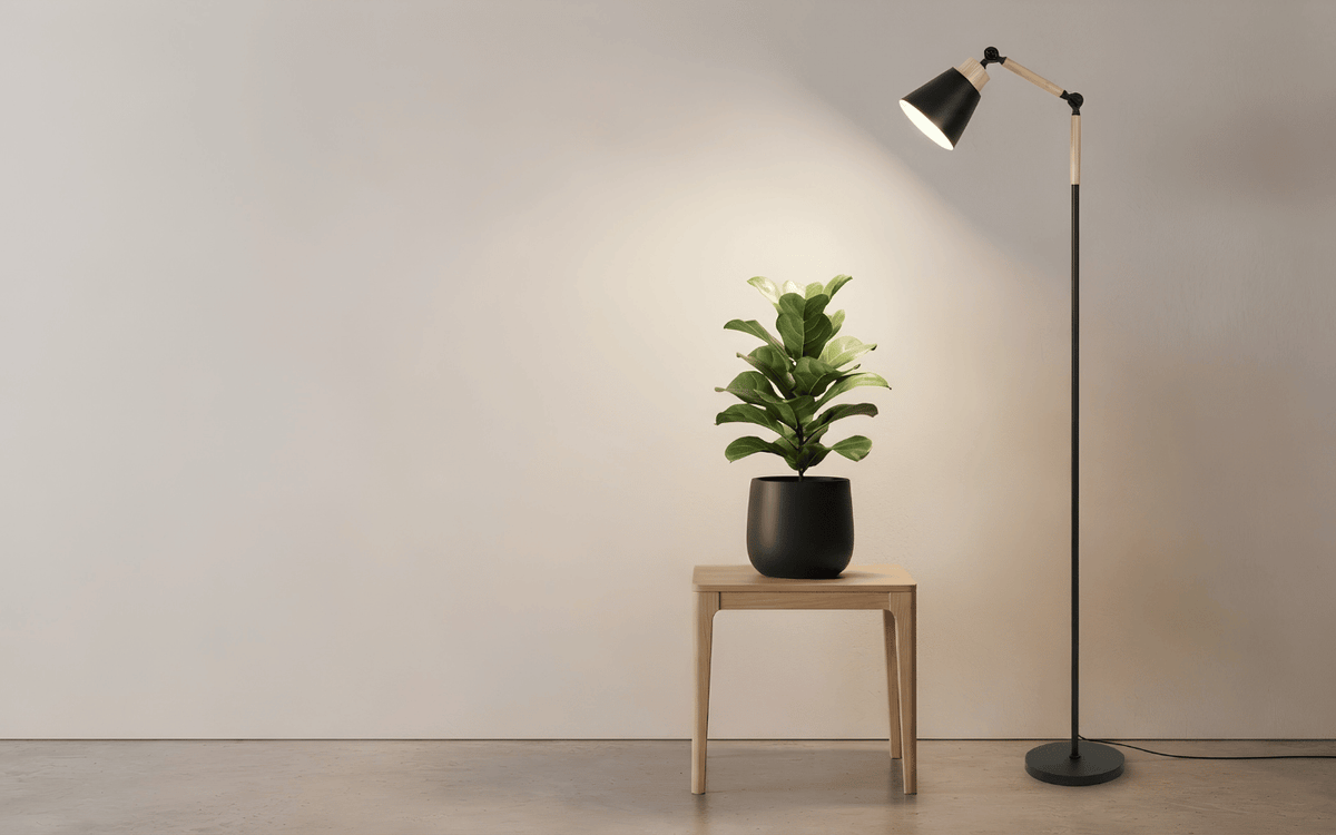 Beautiful Enough for Any Room